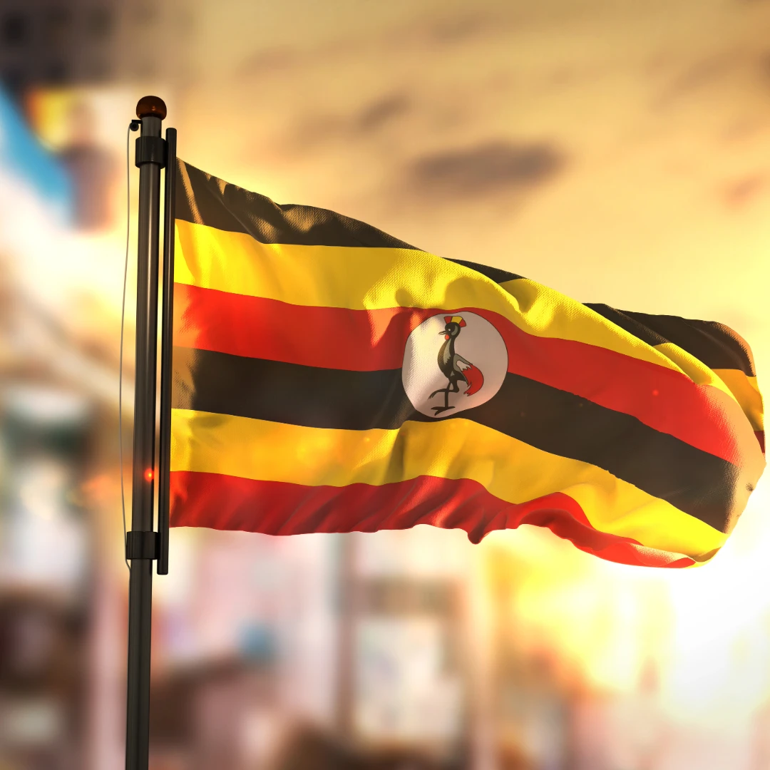 Ugandan flag.
