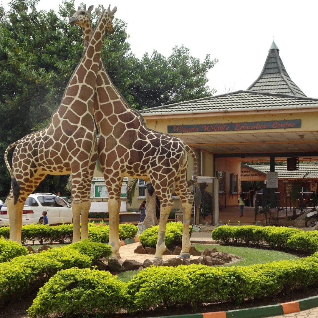 Uganda wildlife education center.